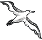 Bird image 3